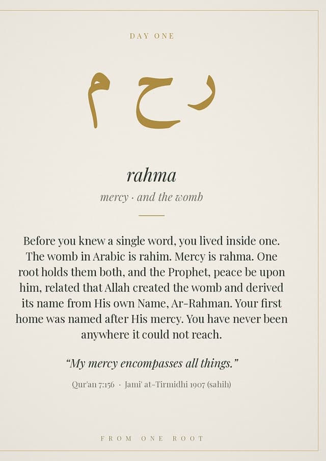 From One Root — 30-day Qur'an journal